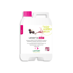 Fermentas LAFASE® XL REDY