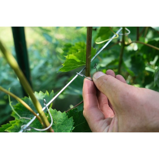 Laikikliai augalams - kabukai